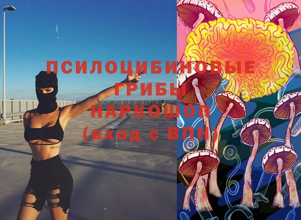 бошки Алексеевка
