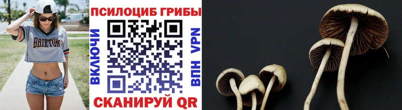 наркошоп  Туймазы  Псилоцибиновые грибы ЛСД 