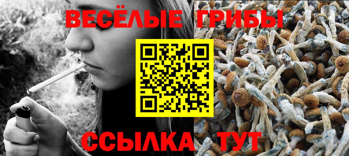 Галлюциногенные грибы Psilocybe Туймазы