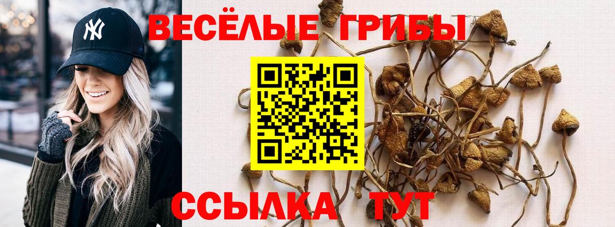 Псилоцибиновые грибы мицелий  Псилоцибиновые грибы MAGIC MUSHROOMS  Вход с VPN  Туймазы 